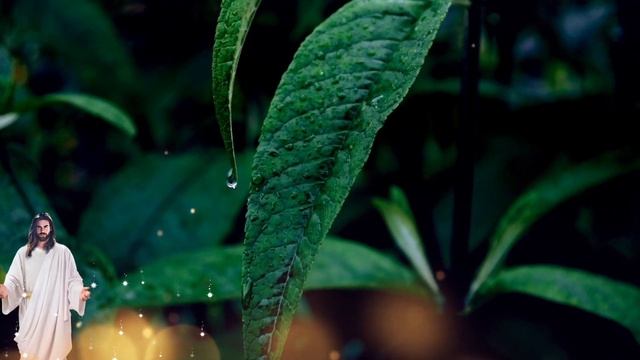 선하신 목자 [ 반주/MR ] Key :D Tempo: 81 смотреть онлайн