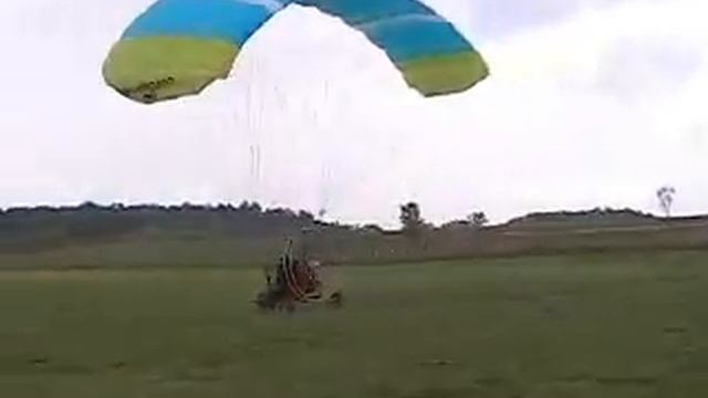 Дерево на взлёте аэрошюта