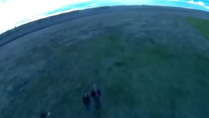 Флаттер на крыле