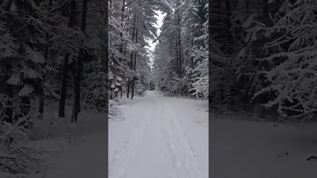 Мороз, хруст снега под ногами в диком лесу, это то без чего невозможно полноценно перезагрузить моз