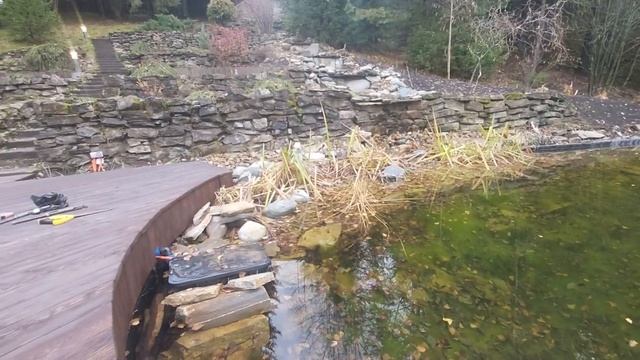 Вода в пруду в начале ноября  очень прозрачная . Палазна . смотреть онлайн