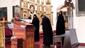 Преображенский Антониево - Леохновский монастырь.