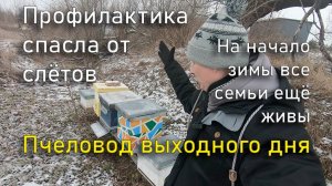 Профилактика спасла от слётов. Пчеловод Выходного дня.