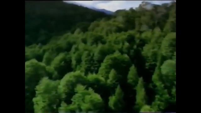 Comerciales mexicanos: Head & Shoulders Menthol 1999 2 смотреть онлайн