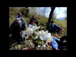 Прозрение. Ретрит "Настоящее.Приключение"