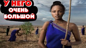 ОСЕДЛАТЬ ТАКОЙ БОЛЬШОЙ МОЖЕТ НЕ КАЖДАЯ | ПЕРВАЯ БРАЧНАЯ НОЧЬ, АФРИКА