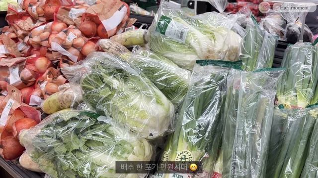 vlog집밥브이로그🥘2인 가구 양배추김치 만들고 흑백요리사 파브리 된장파스타 따라하는 일상, 고지방우유라떼, 젤카야노 14, 연잎삼겹살과 들기름막국수, 애플하우스 떡볶이