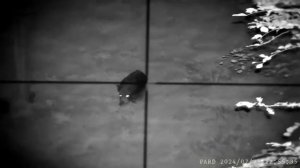 PARD NV007S Überläuferkeiler Tikka T3