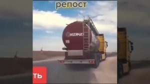 Пальмовое масло и "молочная" продукция в России. Бизнес капиталиста Вячеслава Володина.