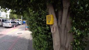 Турция 2024 Цены выросли! Много людей. Пляж, еда, жилье. Отдых в Турции 2024 Аланья