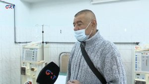 Пульс | Как работают почки и почему за их здоровьем необходимо следить