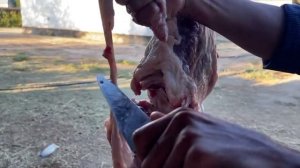 КАЗАХСКИЙ аул! Нарезаем БАРАНИНУ!