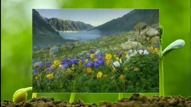 Рослини - зелене диво Землі. Відео для дітей. / Plants - the green wonder of the Earth. смотреть онлайн