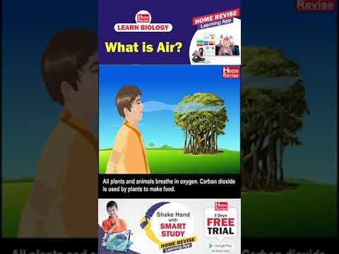 What is Air? | Home revise