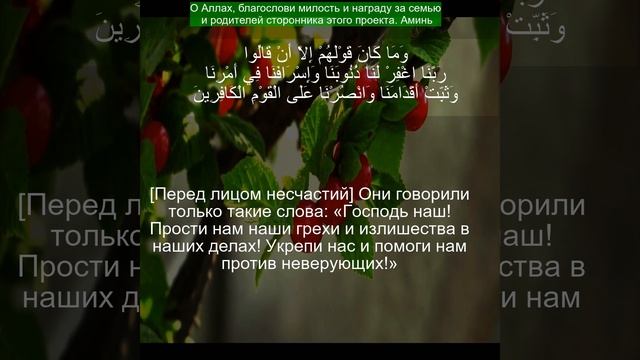 Коран Сура Аал и Имран 121-165  | Чтение Корана с русским переводом | Quran Translation in Russian