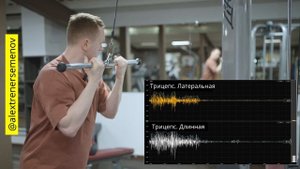 Трицепс. Какой хват лучше? Миограф