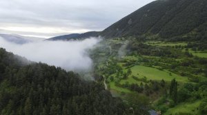 Видео_природы_1080p_1920x1080