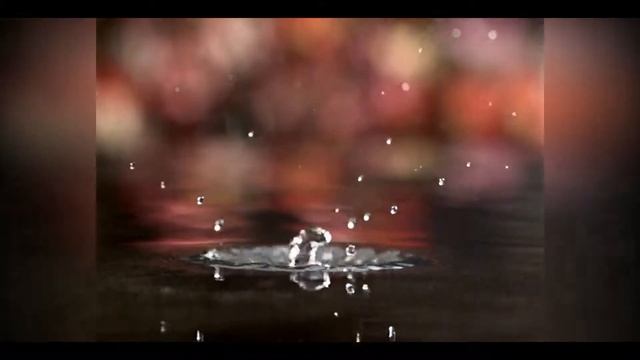 клип Рыбалка смотреть онлайн