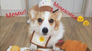 Мемы, мемасики. Подборка мемов.