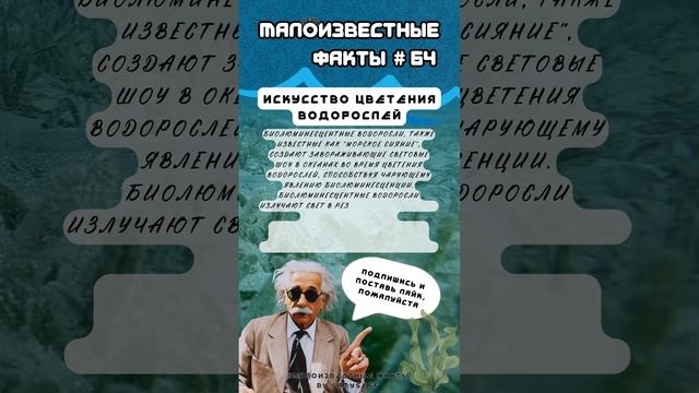 Искусство цветения водорослей |Малоизвестныефакты|2сезон| #64