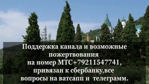 Епископ Василий Кривошеин о ущемлении интересов русских монахов на Афоне.