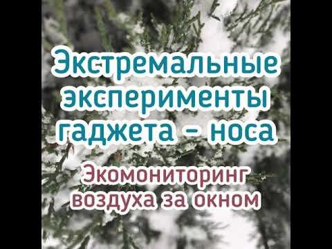 Экомониторинг воздуха гаджетом здоровья
