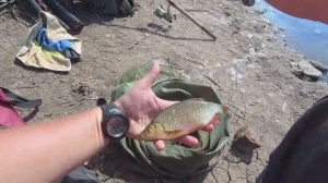 КРУПНЫЙ КАРАСЬ, КРАСНОПЕРКА В ЖАРУ +35 . ЖЕСТЬ. РЫБАЛКА НА РЕКЕ НА ПОПЛАВОК