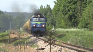 Тепловоз ST44-1219 близ быв. о.п. Калетник / ST44-1219 near  ex. Kaletnik stop