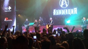 Анимация - Родина (Легенда русского рока, ДК Горбунова, 03.09.2022 г)