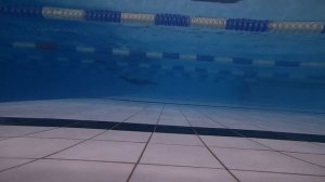 Тренировка 19.03.2020 Брас под водой