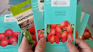 ПОЛУЧИЛА ПОСЫЛКУ от НПО САДЫ РОССИИ/ОБЗОР семян ТОМАТОВ🍅на 2025г