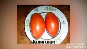 Семена помидоров наложенным платежом