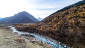 Relaxing Sounds of a Mountain River Every Autumn Morning