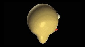 Мисс циркуль против Балди 🤯 (Анимация)