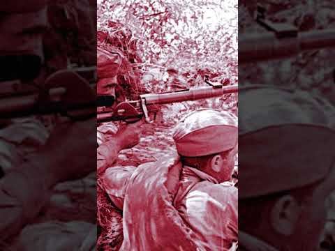 Самый результативный бронебойщик смотреть онлайн