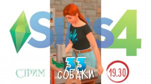 33 собаки. Запись стрима #12  #SimS4