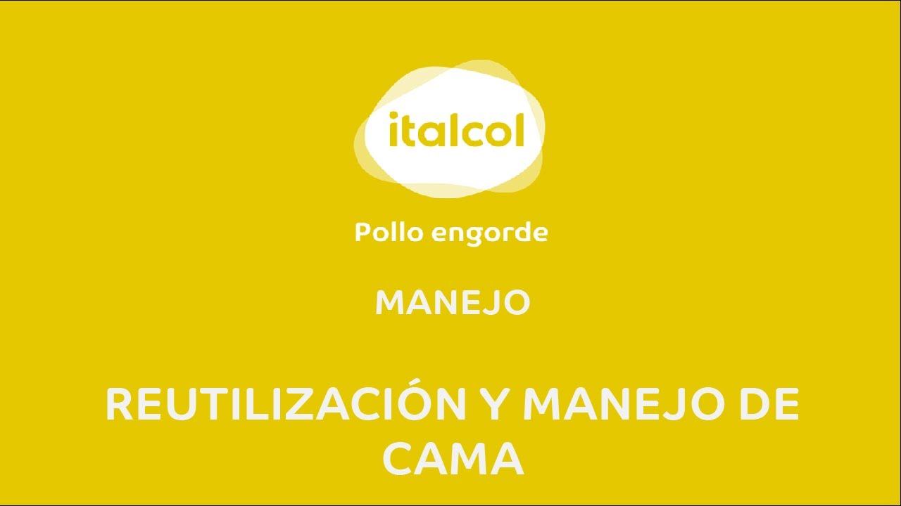 MANEJO - Reutilización y Manejo de Cama смотреть онлайн