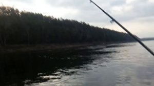 Рыбалка на р Енисей в районе Кононово   14 04 2017г