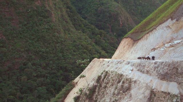 Ils risquent leur vie pour aller faire leurs courses смотреть онлайн