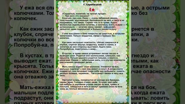 Короткие рассказы о лете. Часть 2. Архангельская сельская библиотека смотреть онлайн