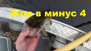 Жор щуки в минус 4. Как найти "партсобрание". Мачете арбуз косит щуку.