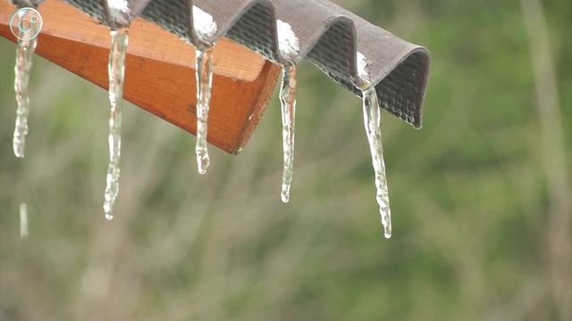 Идём на рекорд? В Новосибирске столбик термометра может подняться до отметки минус 1 градус смотреть онлайн