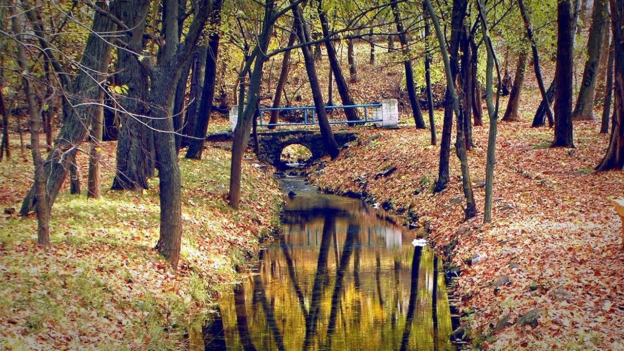 ➤Нова Каховка 2016р. "Листопад". (Відеостудія "СаМ")