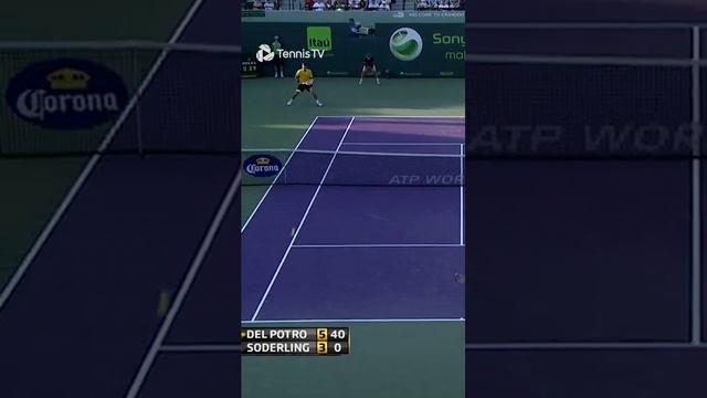 Del Potro's MONSTER Forehand