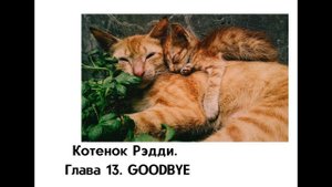 Котенок Рэдди. Глава 13. GOODBYE