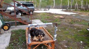 Жизнь. Камчатка база РАН