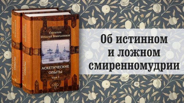 51. Об истинном и ложном смиренномудрии. Игнатий Брянчанинов смотреть онлайн