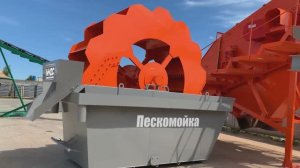 Пескомойка ковшовая