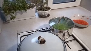 Фасоль стручковая на зиму и на обед, лобио.