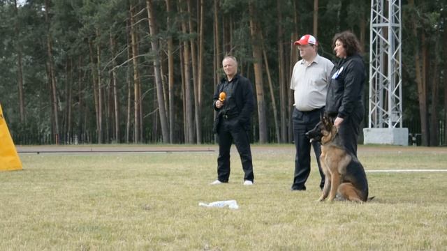 № 104 ЧЕЙЗАНА смотреть онлайн